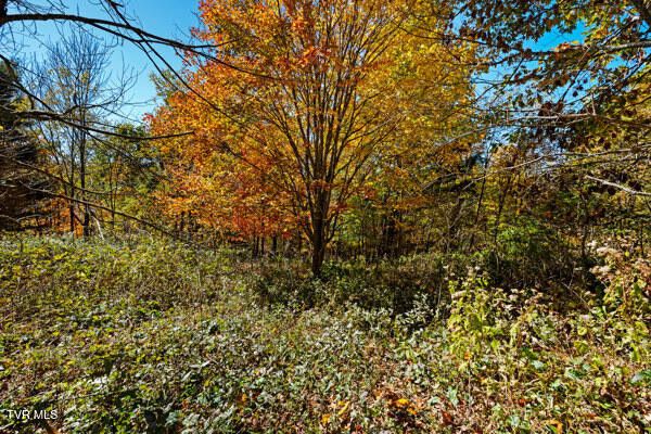 Photo #10: Tbd Modock Northeast Road