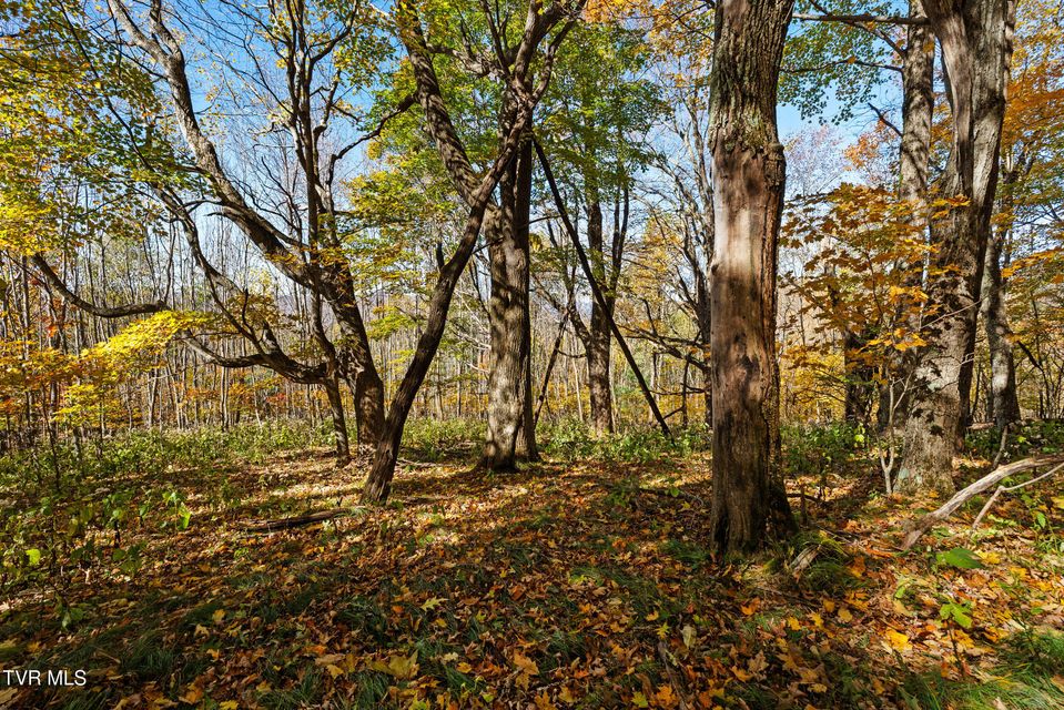 Photo #11: Tbd Modock Northeast Road