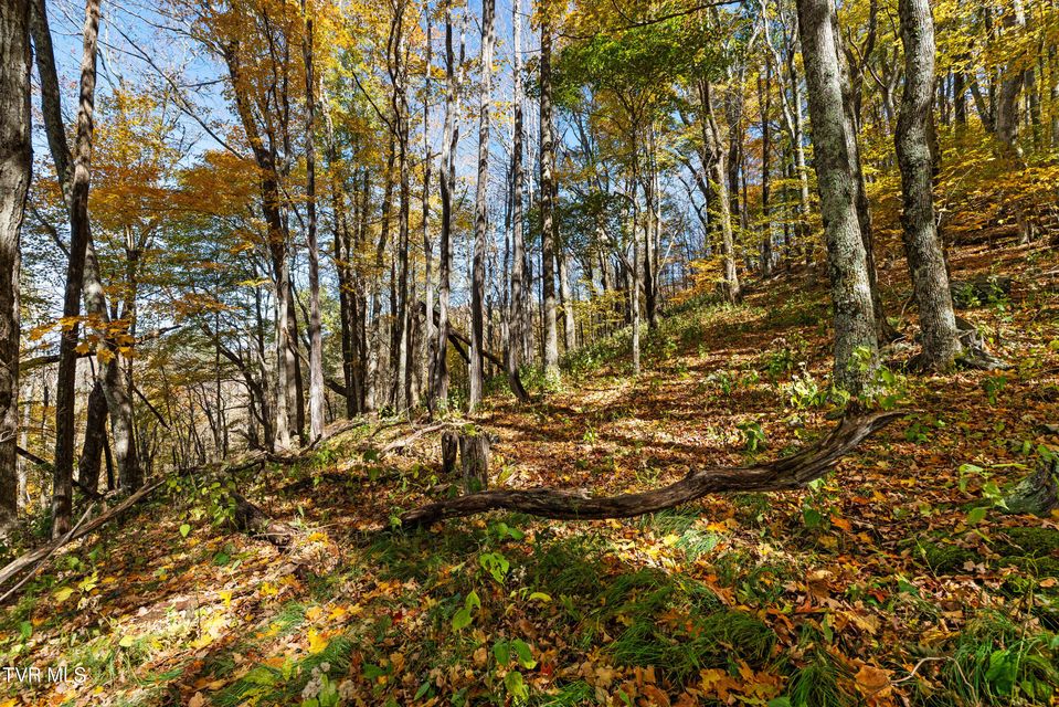 Photo #2: Tbd Modock Northeast Road