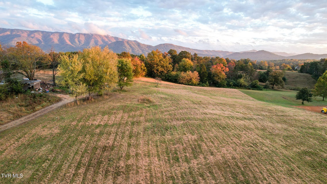 Photo #19: 1915 Shakerag Road