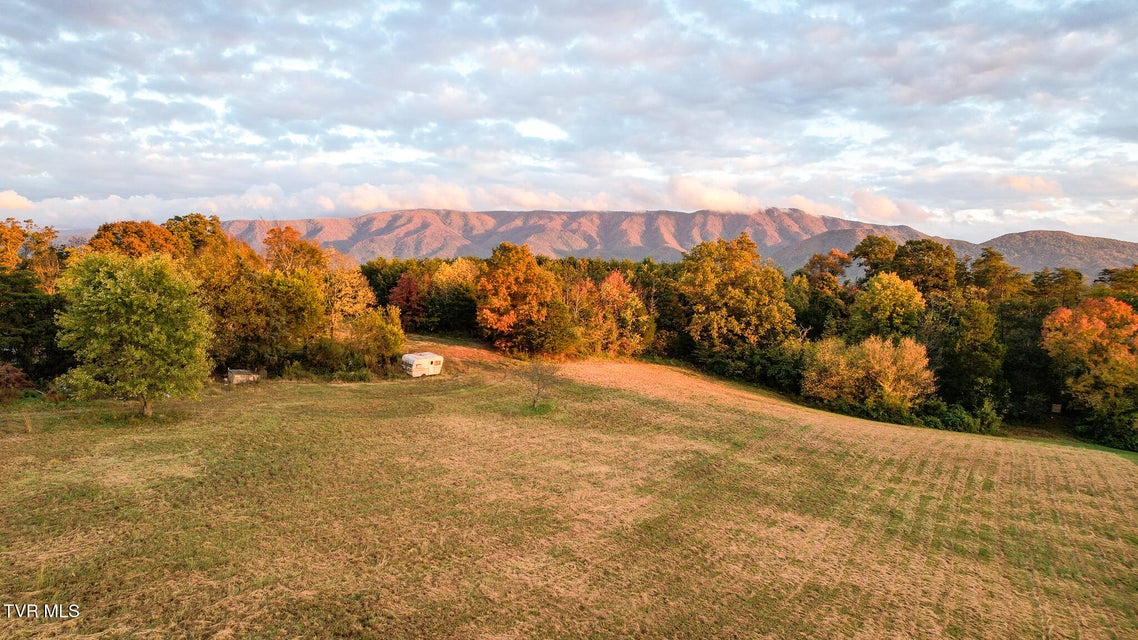 Photo #21: 1915 Shakerag Road