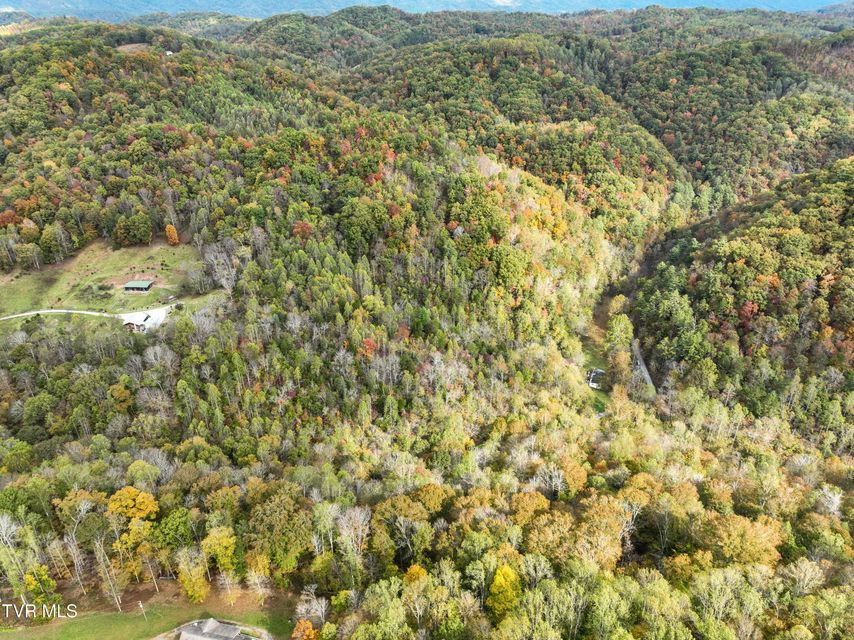 Photo #14: 1199 Browders Chapel Road