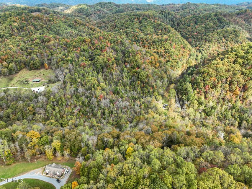 Photo #15: 1199 Browders Chapel Road