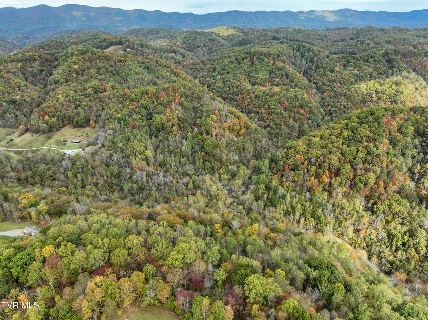 Photo #16: 1199 Browders Chapel Road