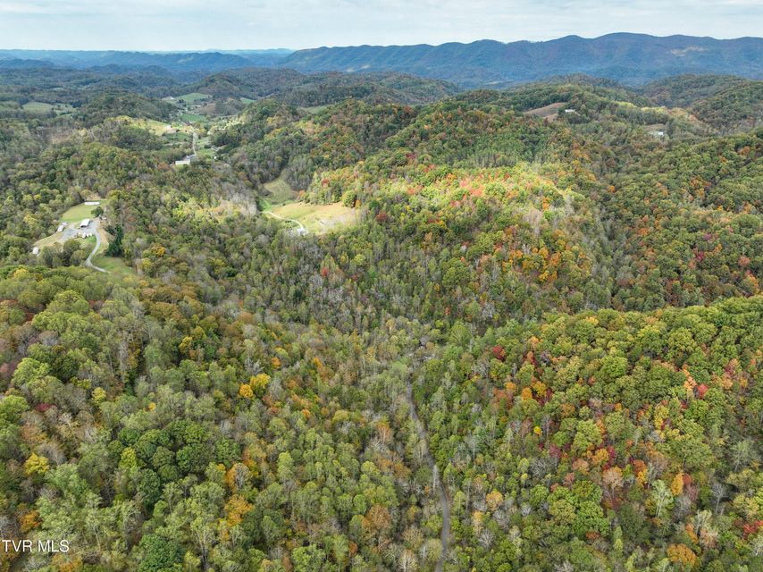 Photo #17: 1199 Browders Chapel Road