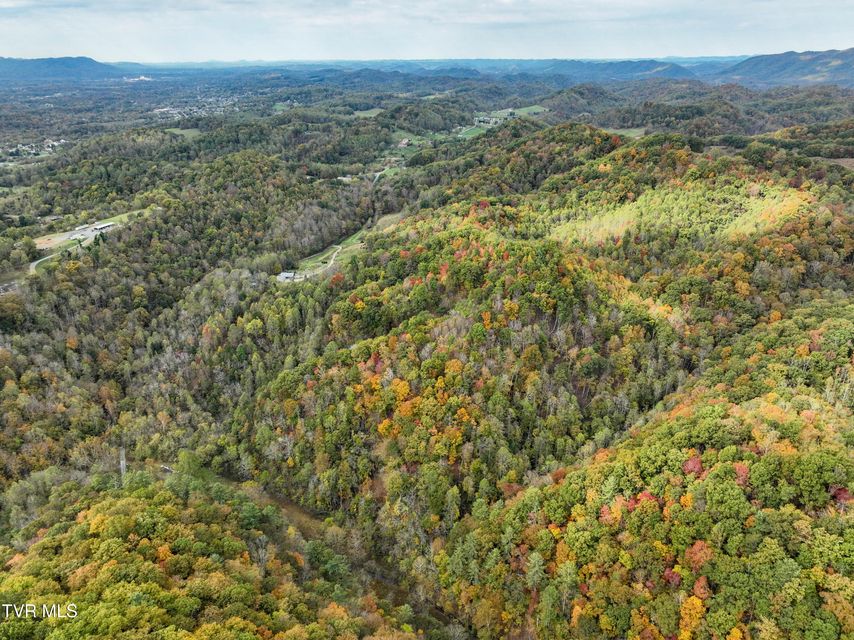 Photo #18: 1199 Browders Chapel Road