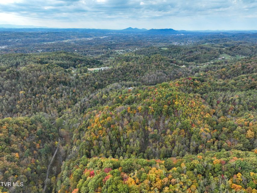 Photo #19: 1199 Browders Chapel Road