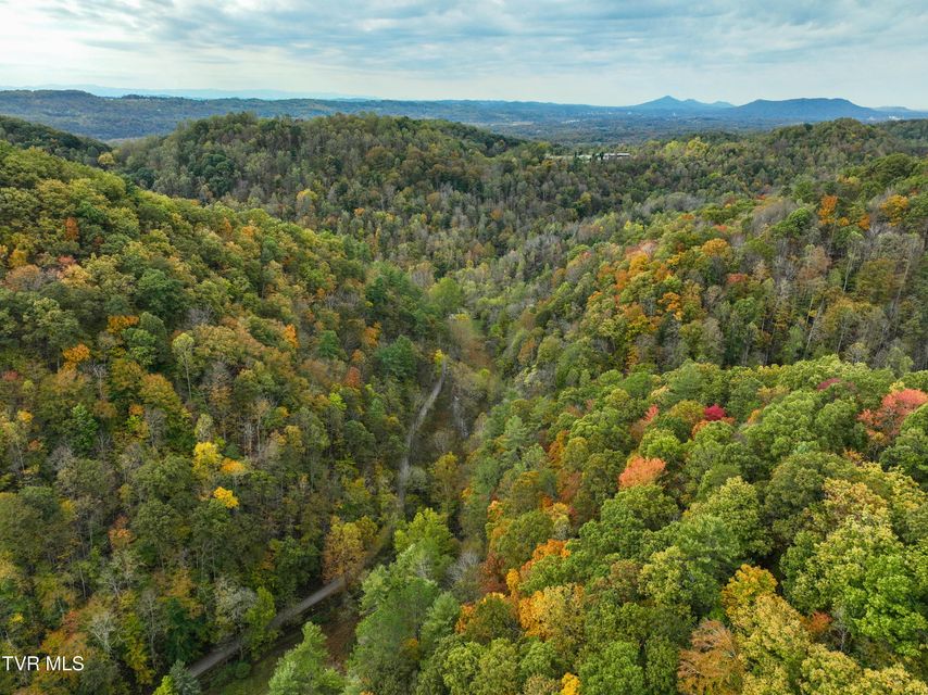 Photo #20: 1199 Browders Chapel Road