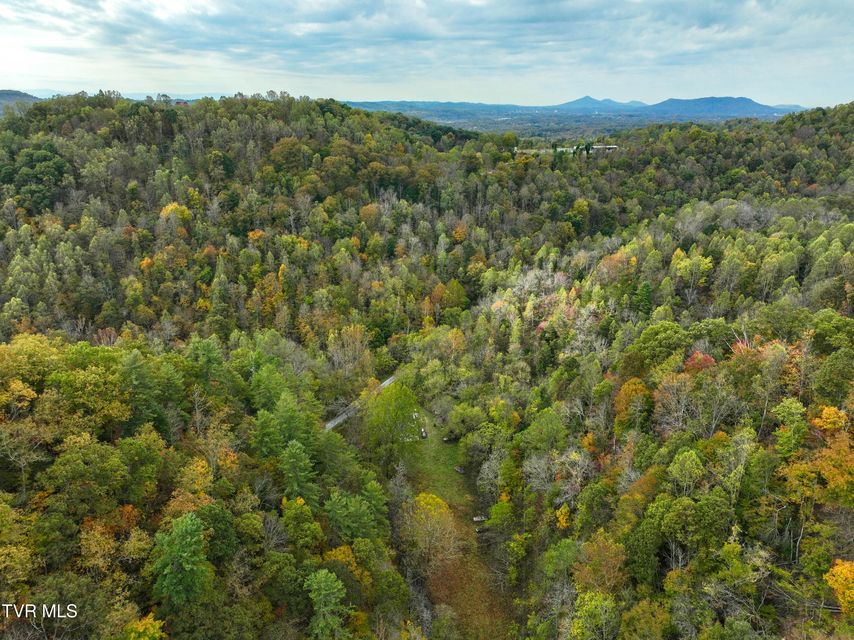 Photo #21: 1199 Browders Chapel Road