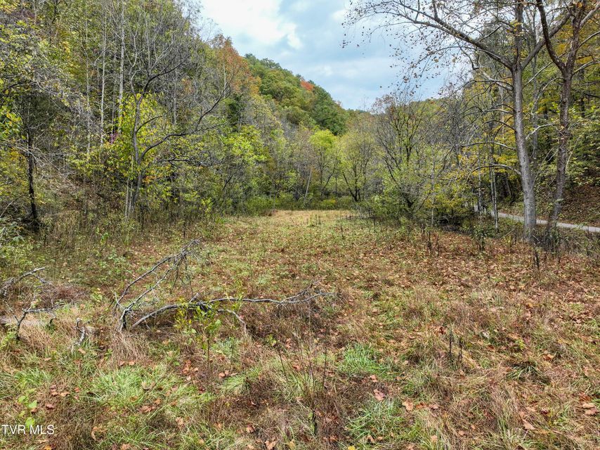 Photo #4: 1199 Browders Chapel Road