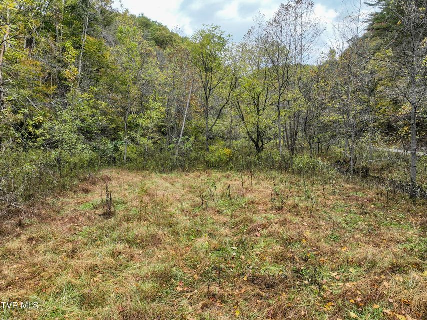 Photo #5: 1199 Browders Chapel Road