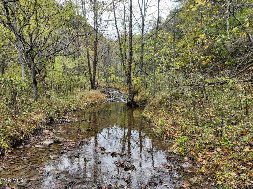 Photo #6: 1199 Browders Chapel Road