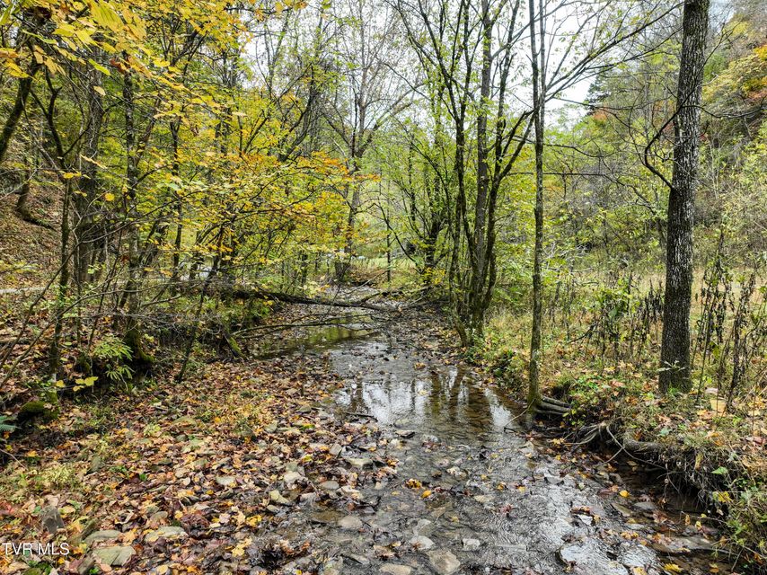 Photo #7: 1199 Browders Chapel Road