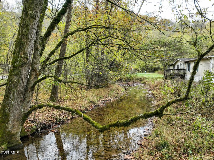 Photo #10: 1199 Browders Chapel Road