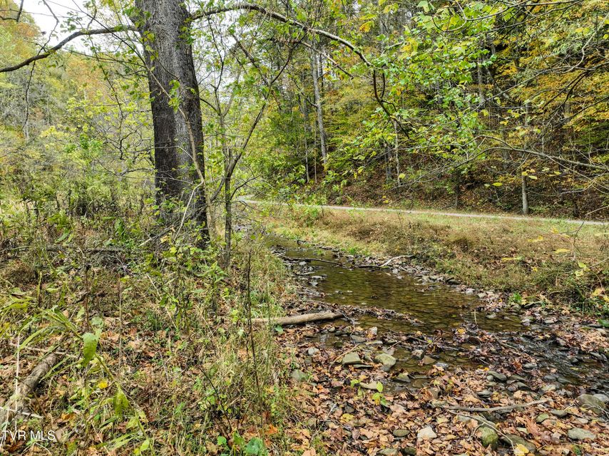 Photo #11: 1199 Browders Chapel Road