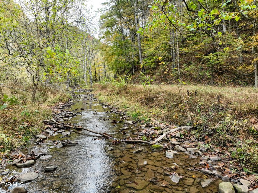 Photo #12: 1199 Browders Chapel Road