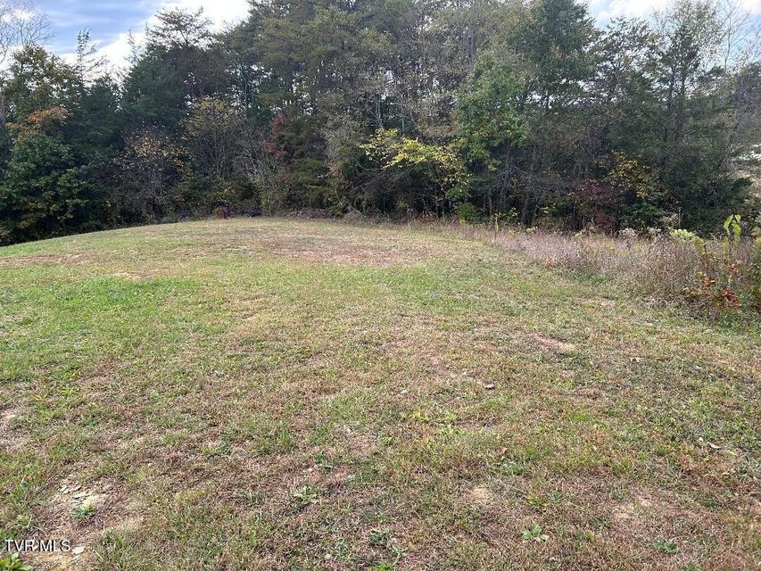 Photo #17: 1365 Mohawk Ridge Road