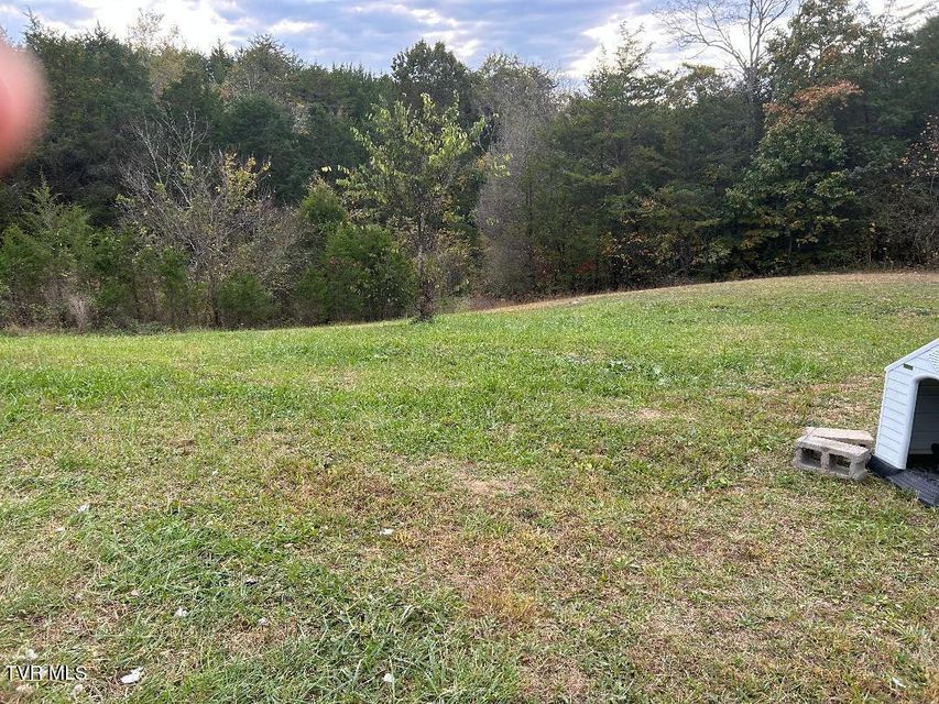 Photo #20: 1365 Mohawk Ridge Road