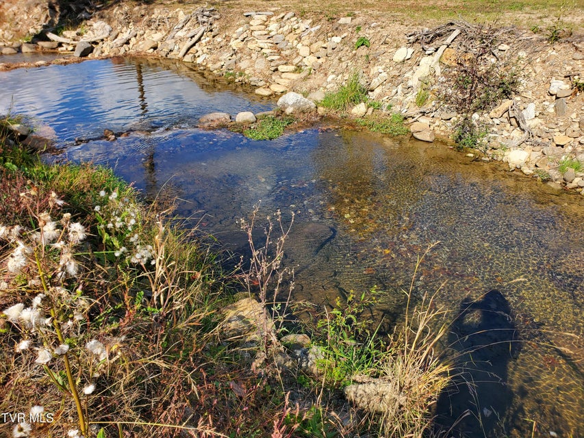 Photo #22: 1267 Highway 143 