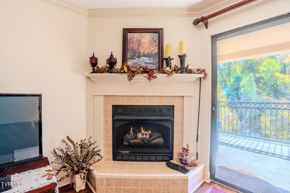 Photo #5: 210 Roaring Fork 