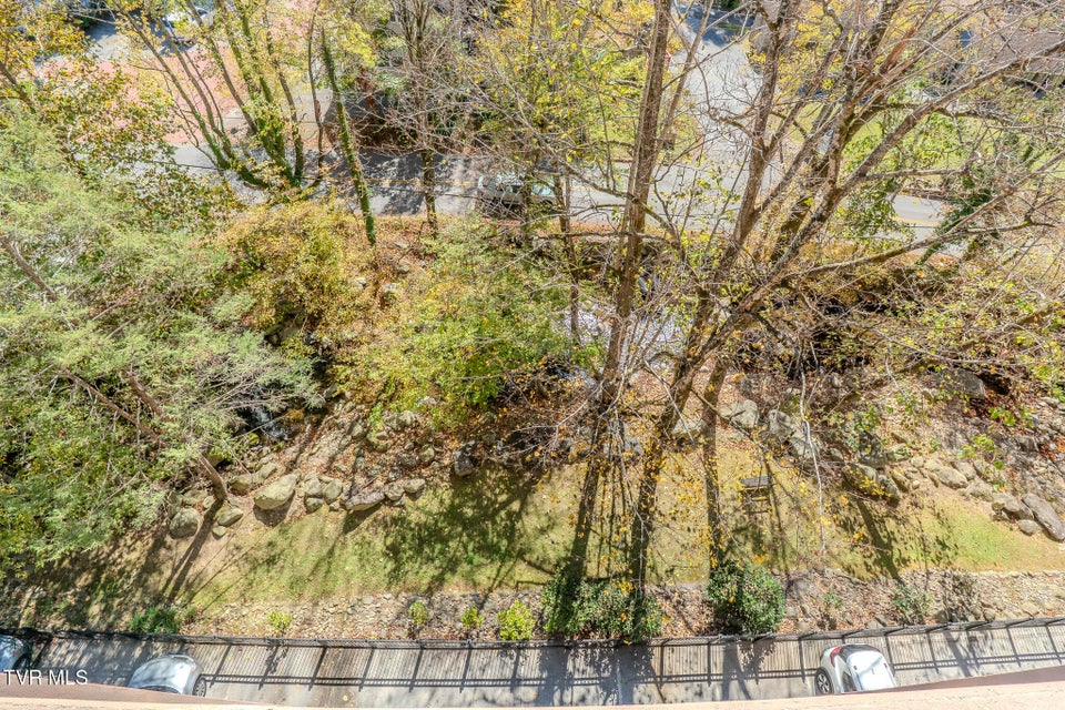 Photo #28: 210 Roaring Fork 