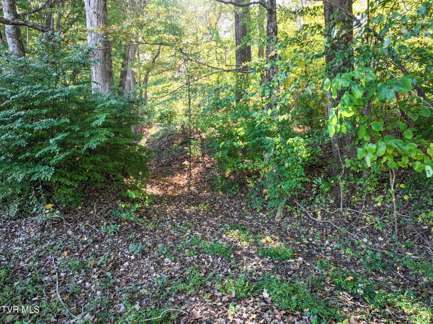 Photo #38: 15490 Kingsport Highway