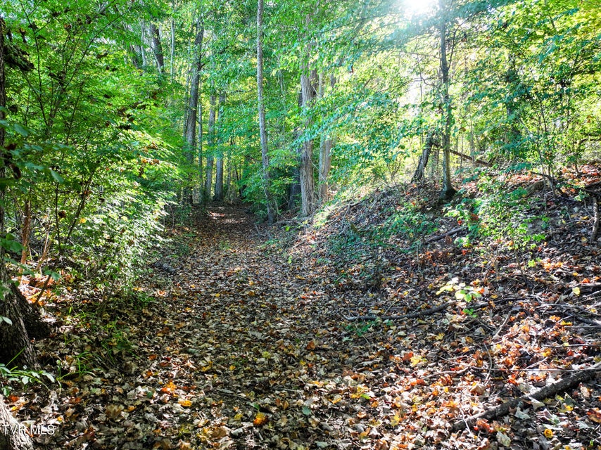 Photo #39: 15490 Kingsport Highway