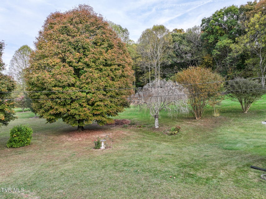 Photo #42: 15490 Kingsport Highway