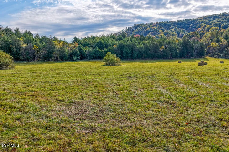 Photo #5: 000 Jones Cemetery Road