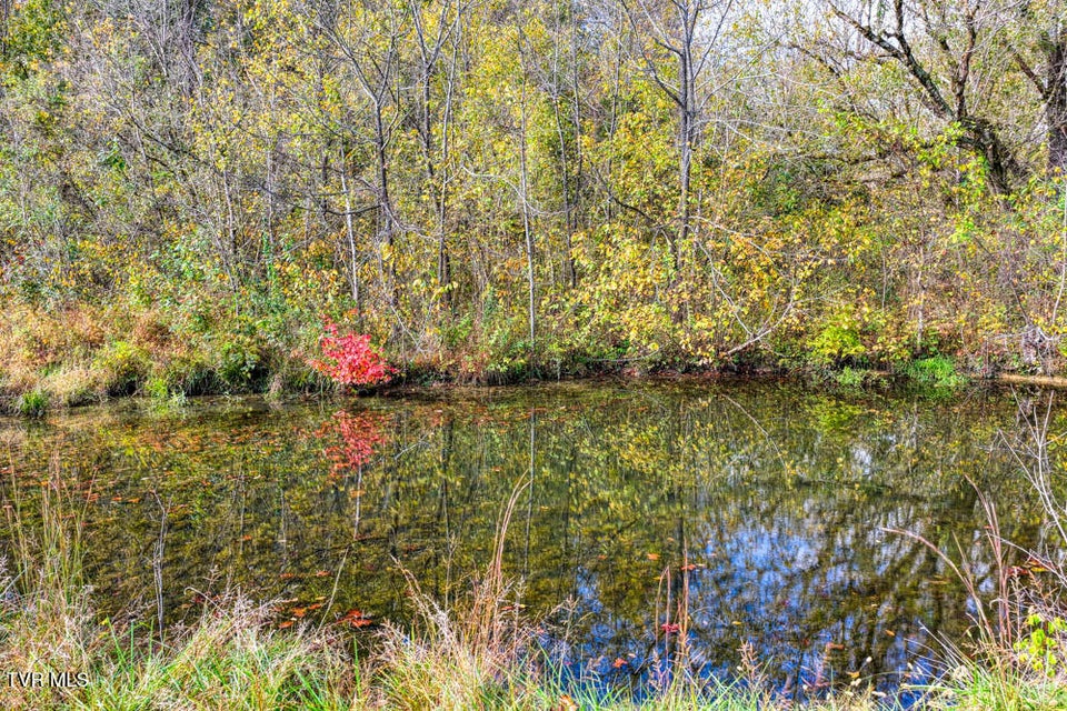 Photo #8: 000 Jones Cemetery Road