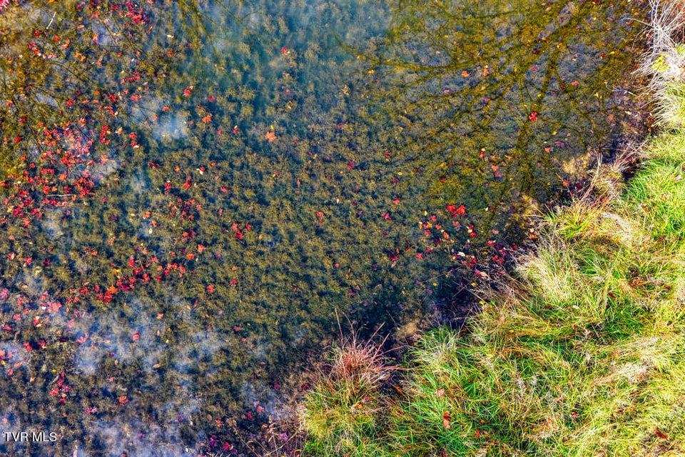 Photo #9: 000 Jones Cemetery Road