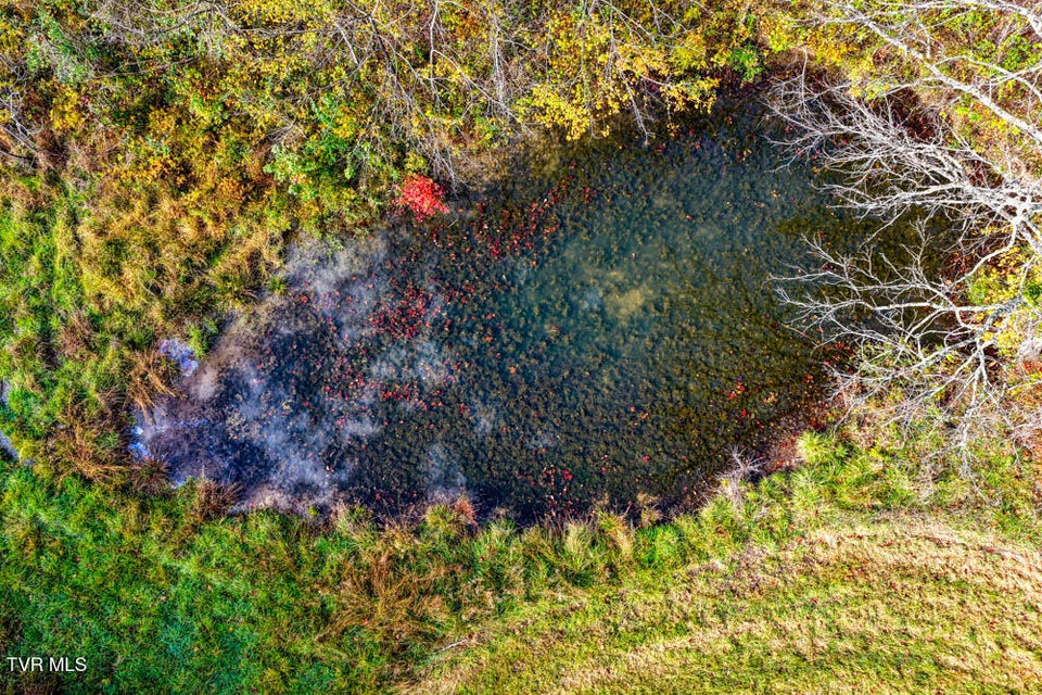 Photo #10: 000 Jones Cemetery Road