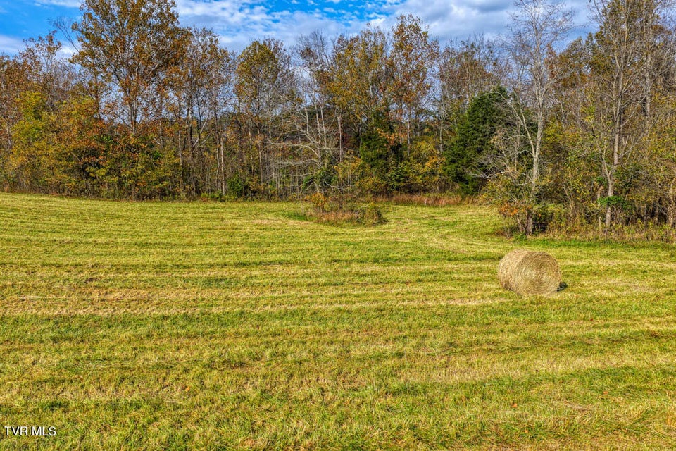 Photo #15: 000 Jones Cemetery Road