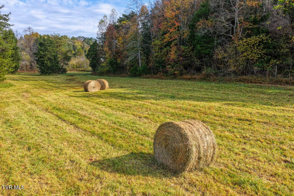 Photo #16: 000 Jones Cemetery Road