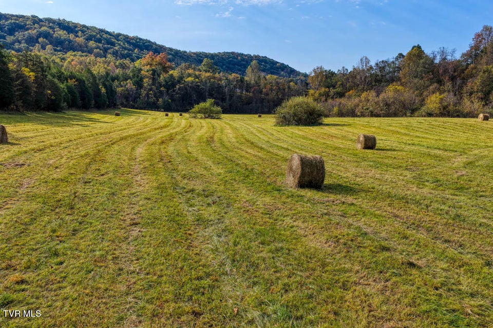 Photo #17: 000 Jones Cemetery Road