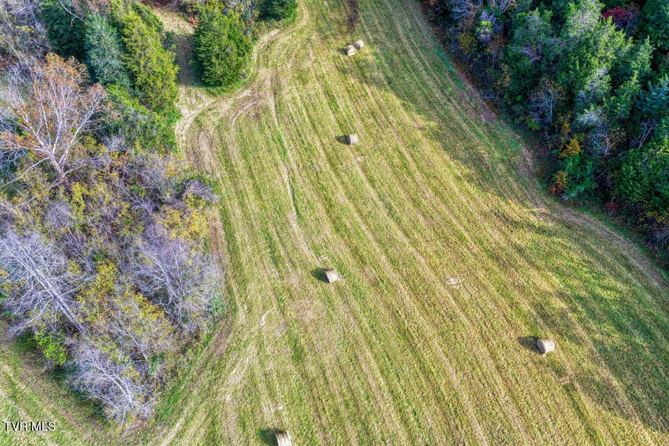 Photo #21: 000 Jones Cemetery Road