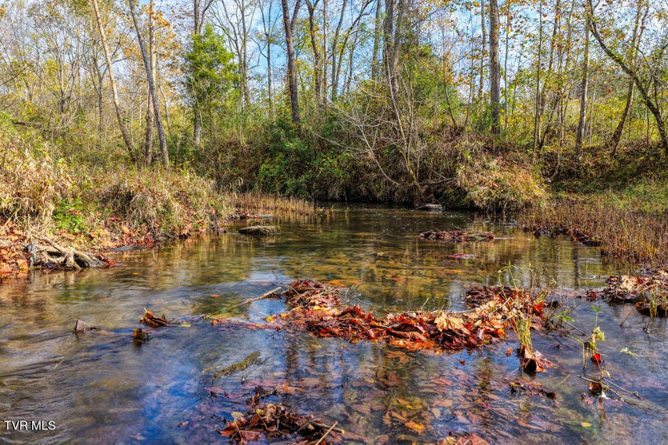 Photo #31: 000 Jones Cemetery Road