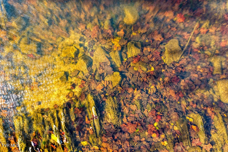 Photo #35: 000 Jones Cemetery Road