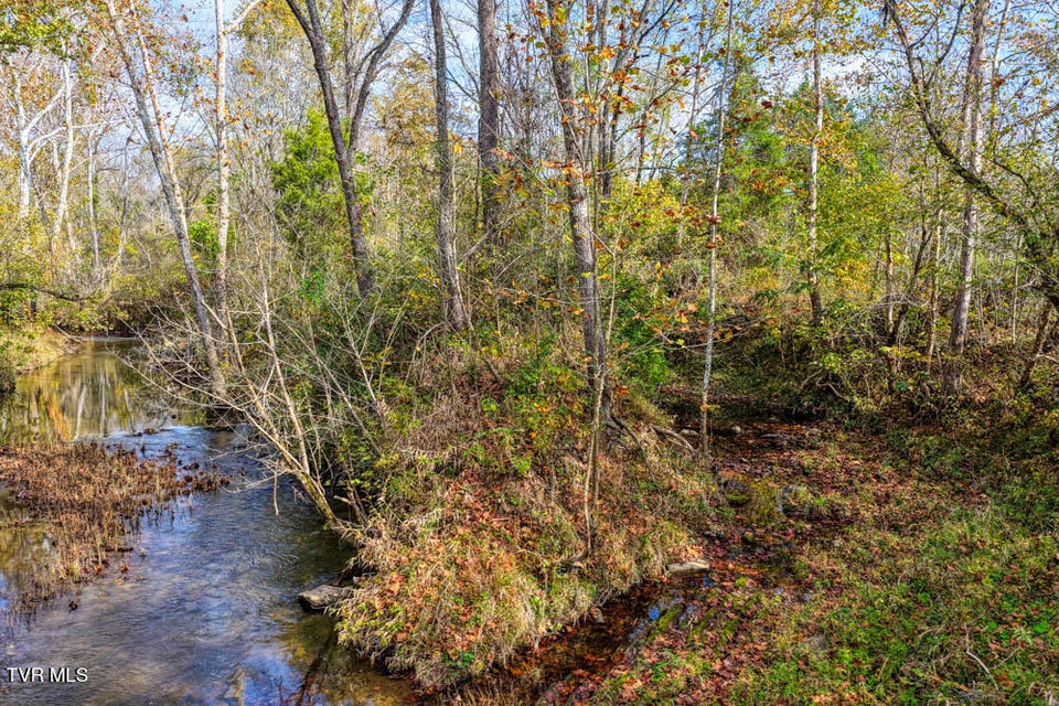 Photo #37: 000 Jones Cemetery Road
