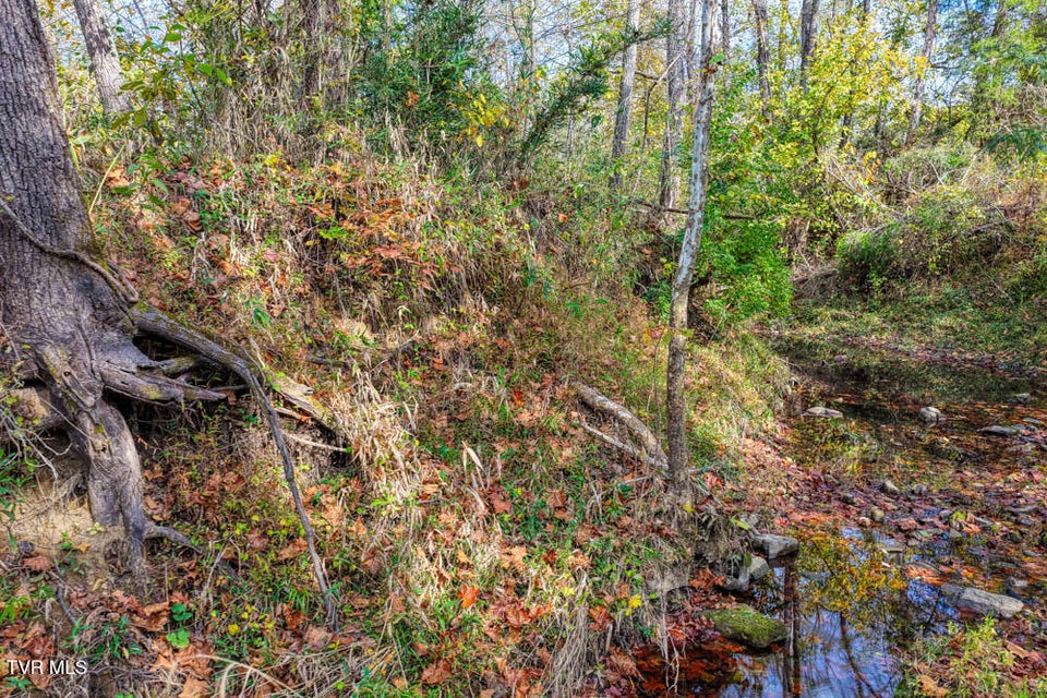 Photo #39: 000 Jones Cemetery Road