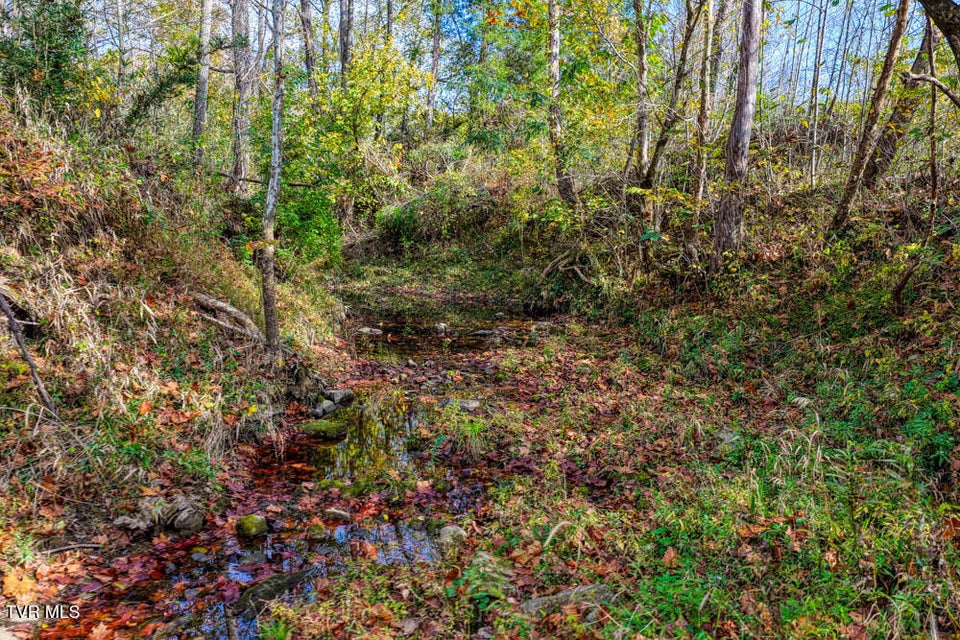 Photo #40: 000 Jones Cemetery Road