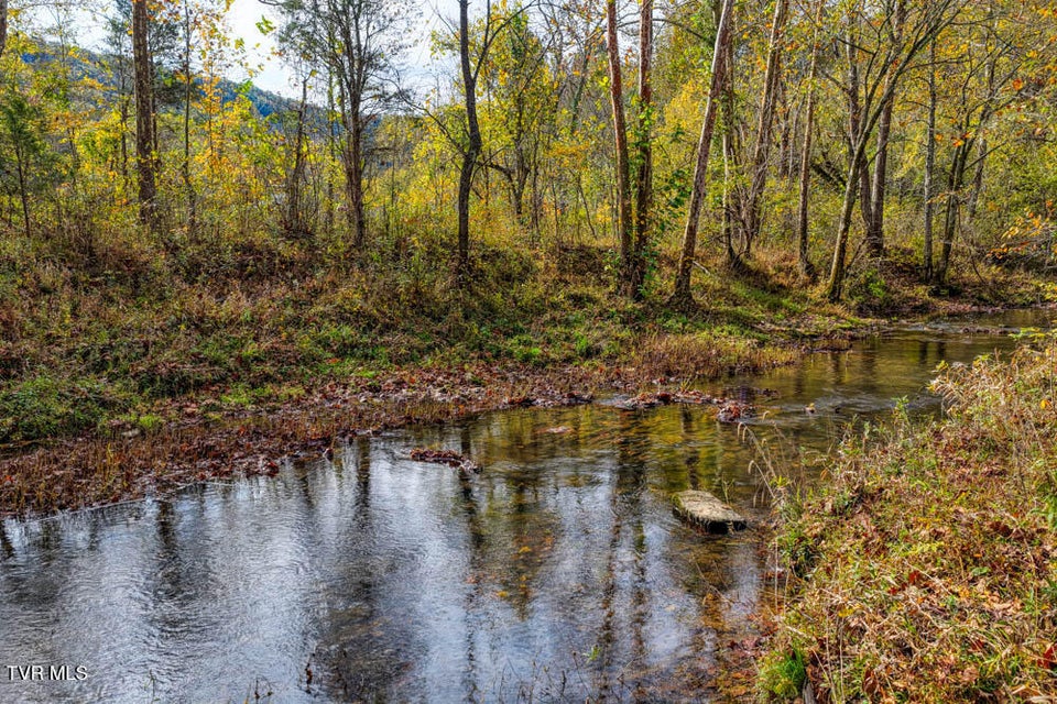 Photo #42: 000 Jones Cemetery Road