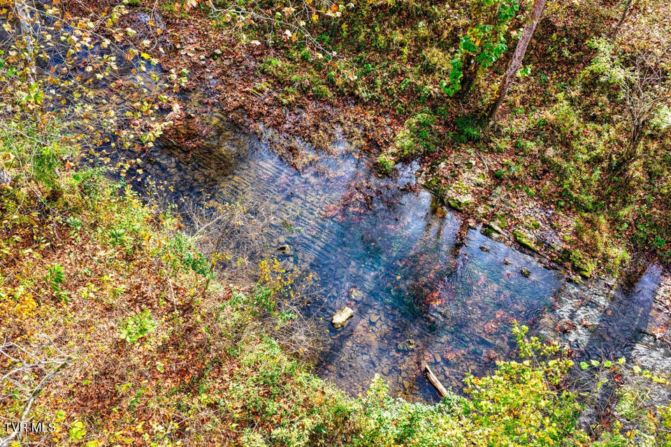 Photo #43: 000 Jones Cemetery Road
