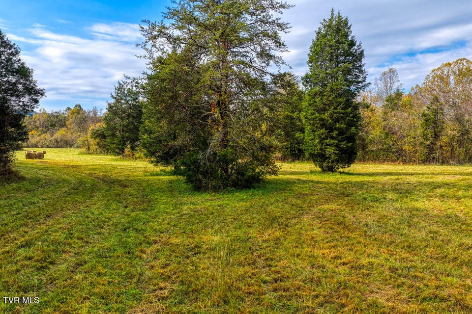 Photo #45: 000 Jones Cemetery Road