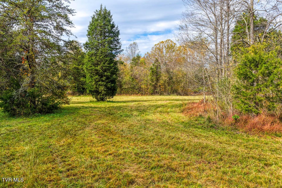 Photo #46: 000 Jones Cemetery Road