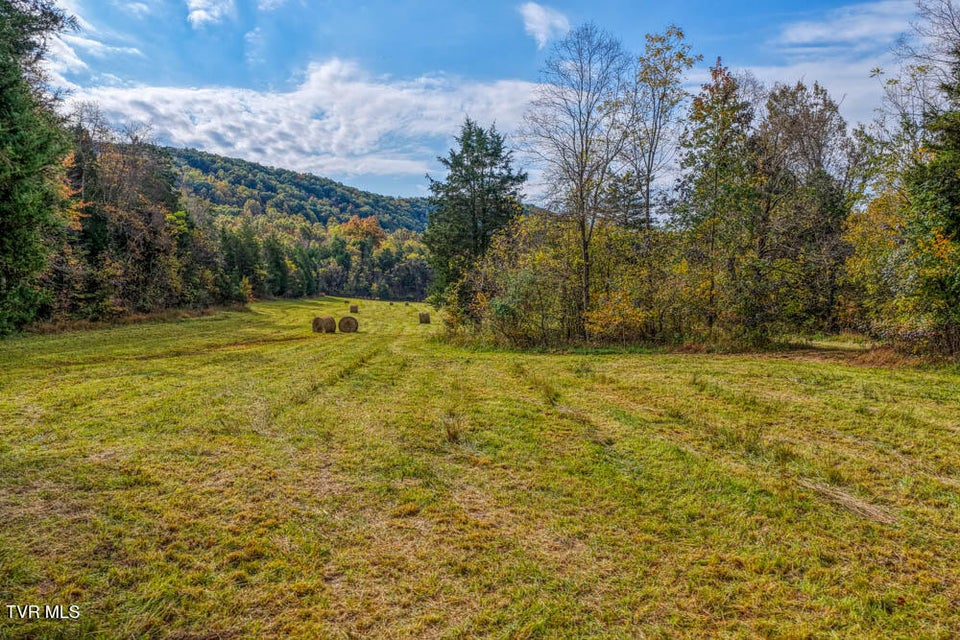 Photo #48: 000 Jones Cemetery Road
