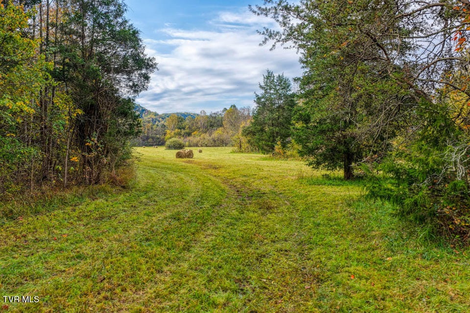 Photo #50: 000 Jones Cemetery Road