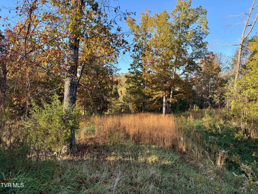 Photo #3: 168 Coby Lane