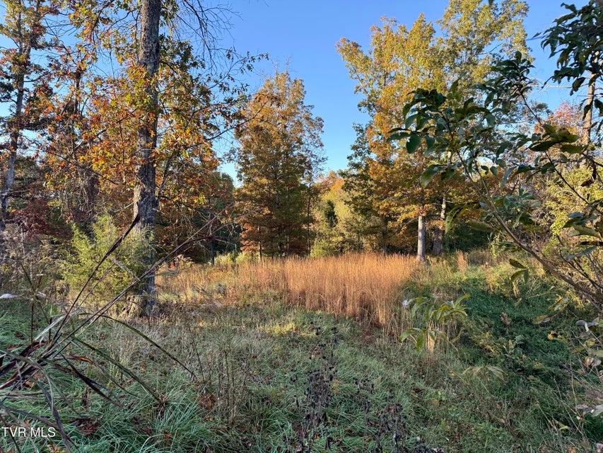 Photo #4: 168 Coby Lane