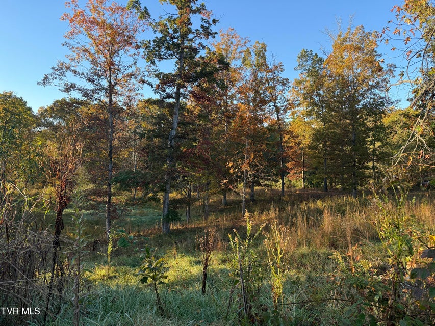 Photo #5: 168 Coby Lane